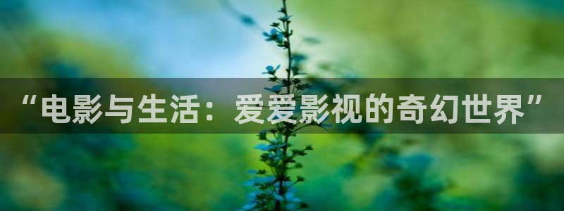 南瓜影院免费观看电视剧：“电影与生活：爱爱影视的奇幻世界”