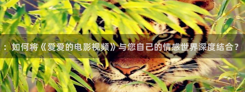 免费南瓜电影：：如何将《爱爱的电影视频》与您自己的情感世界深度结合？