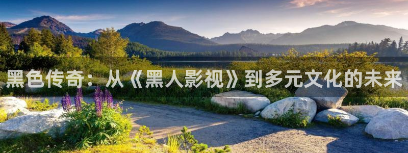 湖北省南瓜：黑色传奇：从《黑人影视》到多元文化的未来