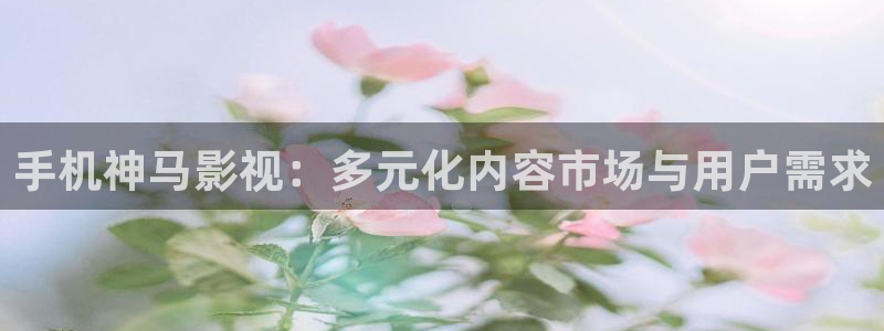 湖北省南瓜：手机神马影视：多元化内容市场与用户需求