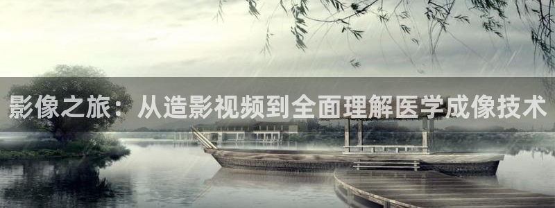 湖南蜜本南瓜：影像之旅：从造影视频到全面理解医学成像技术