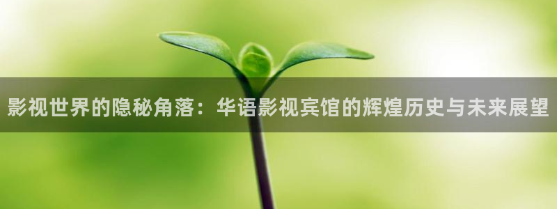 武威南瓜：影视世界的隐秘角落：华语影视宾馆的辉煌历史与未来展望