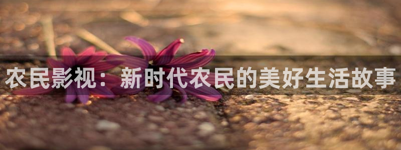 南瓜影视大全app：农民影视：新时代农民的美好生活故事