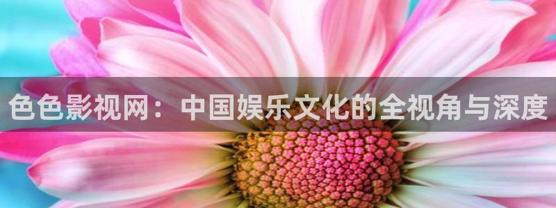 山东蜜本南瓜：色色影视网：中国娱乐文化的全视角与深度