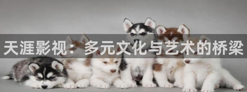 南瓜电影是免费的吗：天涯影视：多元文化与艺术的桥梁